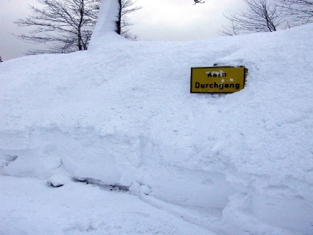 16 Ohne Kommentar.JPG